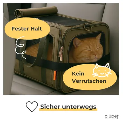 PiuPet® Tiertransportbox I Für Katzen & kleine Hunde I bis 10kg PiuPet® Tiertransportbox I Für Katzen & kleine Hunde I bis 10kg