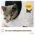 PiuPet® Katzenhöhle inkl Kissen I Kuschelhöhle Katze PiuPet® Katzenhöhle inkl Kissen I Kuschelhöhle Katze