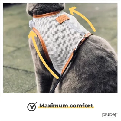 PiuPet® Panier Chat I 17,5cm I Compatible IKEA® Kallax I Coussin Inclus