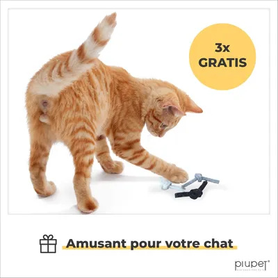 PiuPet® Panier Chat I 17,5cm I Compatible IKEA® Kallax I Coussin Inclus