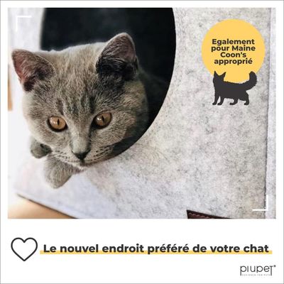 PiuPet® Panier Chat I 17,5cm I Compatible IKEA® Kallax I Coussin Inclus