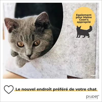 PiuPet® Panier Chat I 17,5cm I Compatible IKEA® Kallax I Coussin Inclus