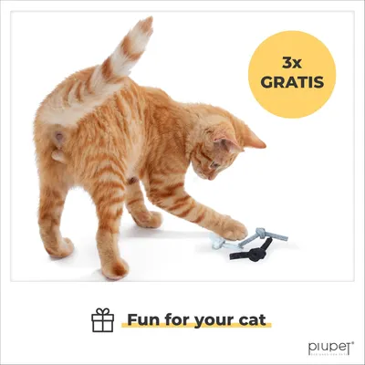 PiuPet® Panier Chat I 17,5cm I Compatible IKEA® Kallax I Coussin Inclus