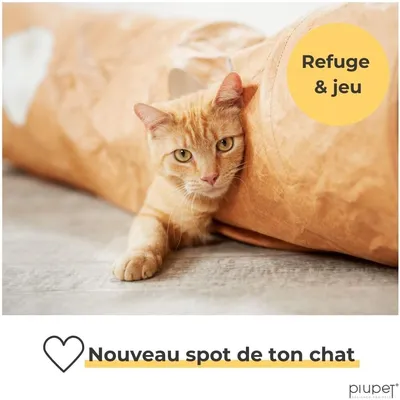 PiuPet Tunnel pour chats
