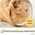 PiuPet Tunnel pour chats