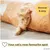 PiuPet Tunnel pour chats