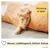 PiuPet Tunnel pour chats PiuPet Tunnel pour chats