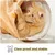 PiuPet Tunnel pour chats