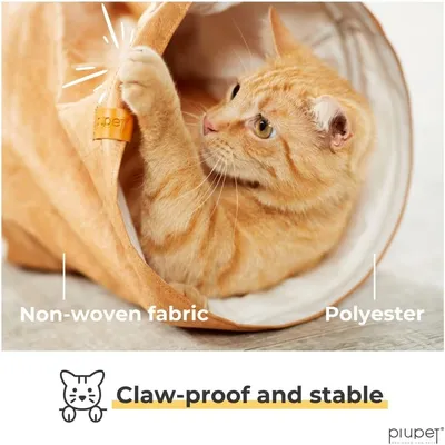 PiuPet Tunnel pour chats