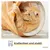 PiuPet Tunnel pour chats PiuPet Tunnel pour chats