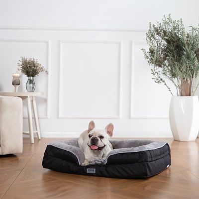 Home Deluxe Lit pour animaux SCOOBY