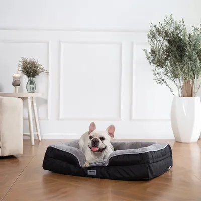 Home Deluxe Lit pour animaux SCOOBY Home Deluxe Lit pour animaux SCOOBY