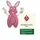 lapin