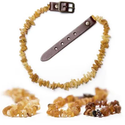 ChronoBalance - collier d'ambre naturel pour chien