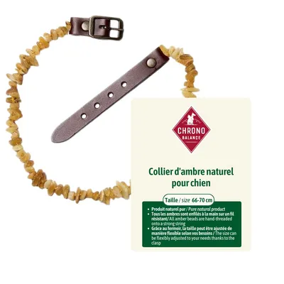 ChronoBalance - collier d'ambre naturel pour chien