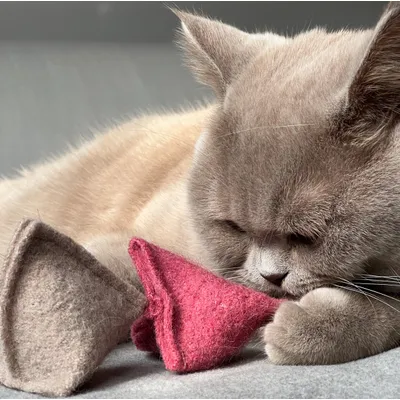 KATER KASIMIR Ensemble de 7 jouets pour chat à l'herbe à chat