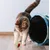 KATER KASIMIR Ensemble de 7 jouets pour chat à l'herbe à chat