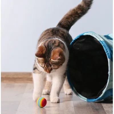 KATER KASIMIR Ensemble de 4 jouets pour chat à l'herbe à chat