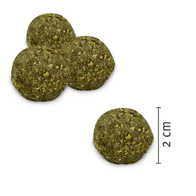 KATER KASIMIR Ensemble de 4 jouets pour chat à l'herbe à chat