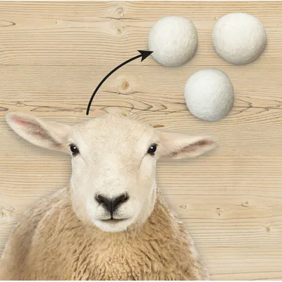 LEO LÖWENKATZ 5 balles en feutre pour chat. Feutre 100% pure laine