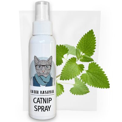 KATER KASIMIR Spray pour chats Herbe à chat 100 ml – 1 Article