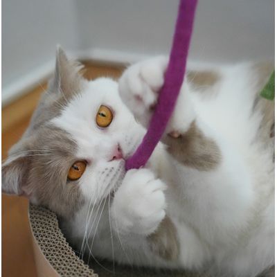 LEO LÖWENKATZ Serpent en feutre pour chats. Fabriqué à la main