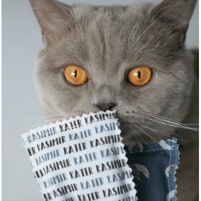 KATER KASIMIR 4 coussins en coton remplis d'herbe à chat