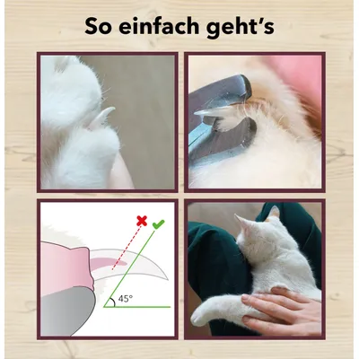 LEO LÖWENKATZ Coupe griffes chat. Ciseaux de toilettage pour chats