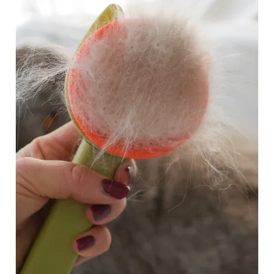 LEO LÖWENKATZ Brosse pour chat autonettoyante, brosse chat