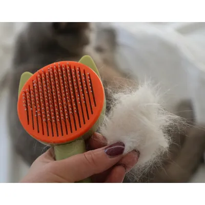LEO LÖWENKATZ Brosse pour chat autonettoyante, brosse chat
