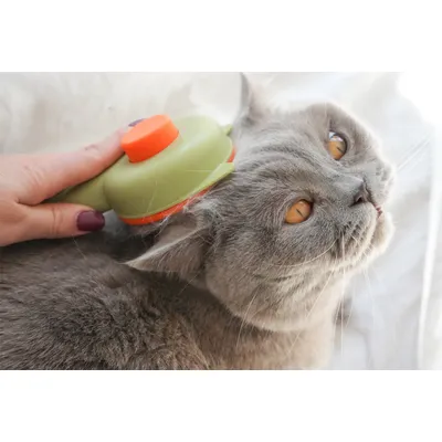 LEO LÖWENKATZ Brosse pour chat autonettoyante, brosse chat