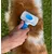 MEWOW Brosse pour chat, brosse de toilettage pour chats