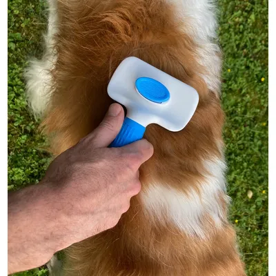 MEWOW Brosse pour chat, brosse de toilettage pour chats