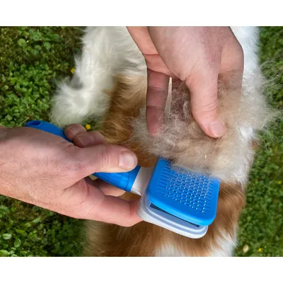 MEWOW Brosse pour chat, brosse de toilettage pour chats