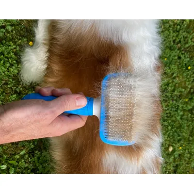 MEWOW Brosse pour chat, brosse de toilettage pour chats