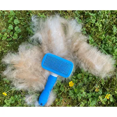 MEWOW Brosse pour chat, brosse de toilettage pour chats
