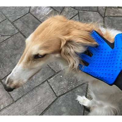 MEWOW Gant brosse chat, gant poil chat, gant de brosse de toilettage