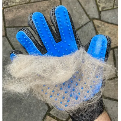 MEWOW Gant brosse chat, gant poil chat, gant de brosse de toilettage