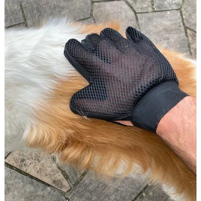 MEWOW Gant brosse chat, gant poil chat, gant de brosse de toilettage