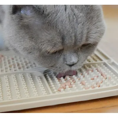 LEO LÖWENKATZ Lot de 2 tapis à lécher pour chats avec spatule et pinceau