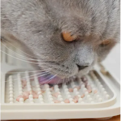 LEO LÖWENKATZ Lot de 2 tapis à lécher pour chats avec spatule et pinceau