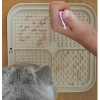 LEO LÖWENKATZ Lot de 2 tapis à lécher pour chats avec spatule et pinceau