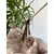 Kater Kasimir Jouet à plumes pour chats Kater Kasimir Jouet à plumes pour chats