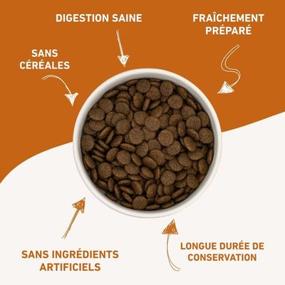 Wildfang® Adult nourriture sèche au bœuf Angus - sans céréales