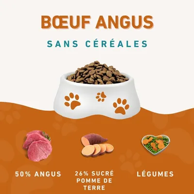 Wildfang® Adult nourriture sèche au bœuf Angus - sans céréales