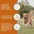 Wildfang® Adult nourriture sèche au bœuf Angus - sans céréales