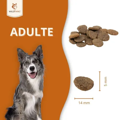 Wildfang® Adult nourriture sèche au bœuf Angus - sans céréales