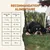 Wildfang® Adult nourriture sèche au bœuf Angus - sans céréales