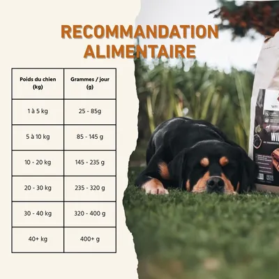 Wildfang® Adult nourriture sèche au bœuf Angus - sans céréales