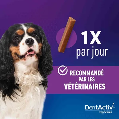Vetocanis, Bâtonnets Hygiène Bucco-Dentaire pour Chien 2-15 kg, DentActiv